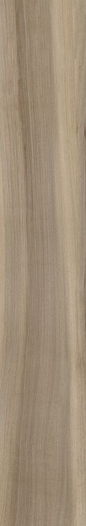 Harper Natural 10 x 60